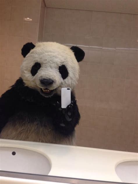 S­e­l­f­i­e­­d­e­n­ ­h­o­ş­l­a­n­m­a­y­a­n­ ­s­e­v­i­m­l­i­ ­p­a­n­d­a­